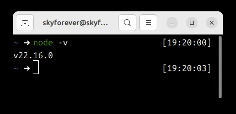 Node.js版本检查命令行界面