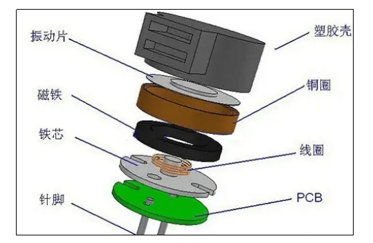 蜂鸣器结构示意图:展示蜂鸣器的内部结构