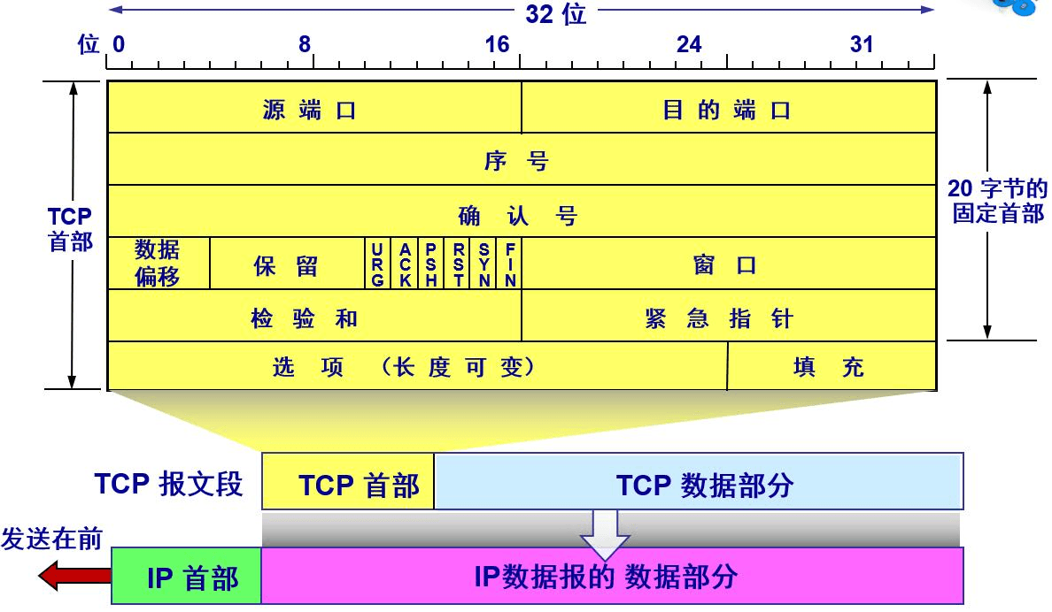 TCP 首部结构